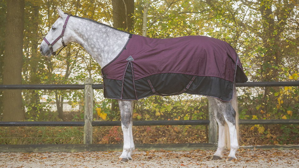 Outdoor rugs Outdoor rugs