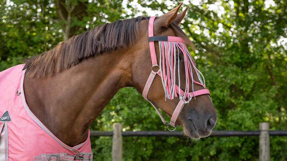 Fly protection Fly protection