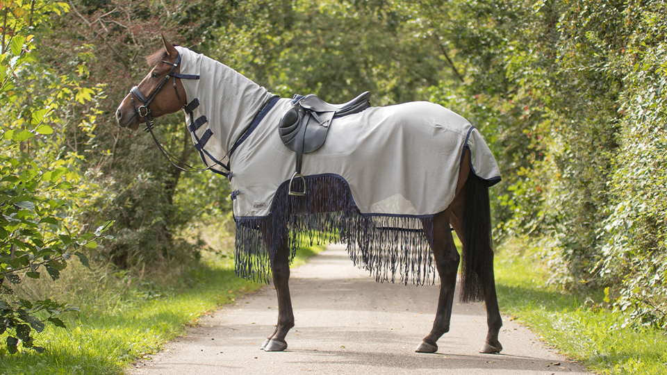 Exercise Rugs Exercise Rugs