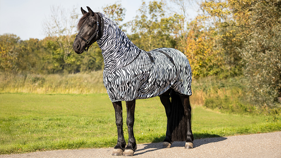 Fly Rugs & Eczema Rugs Fly Rugs & Eczema Rugs