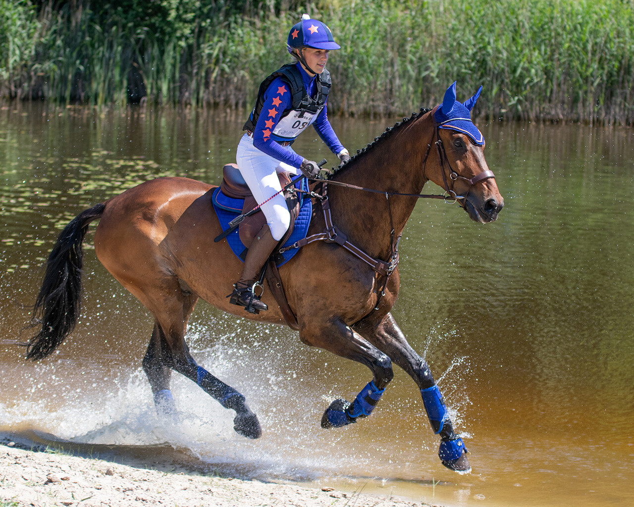 qhp eventing boots