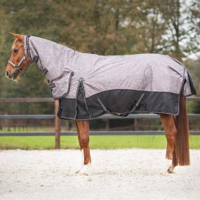 Turnout rug collection with neck 300gr Amber brown 215