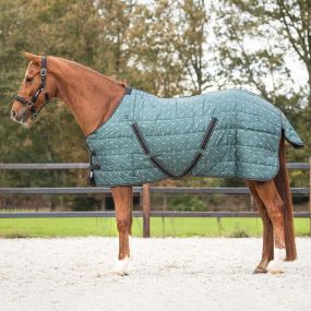 Stable rug start collection 200gr Emerald 215