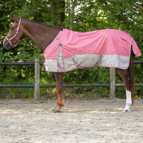 Turnout rug collection 0gr Flamingo 215