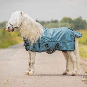 Turnout rug falabella collection 0gr Ocean breeze 115