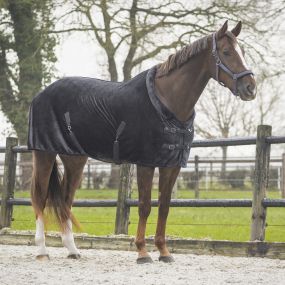 Show rug Sensisoft Grey 215